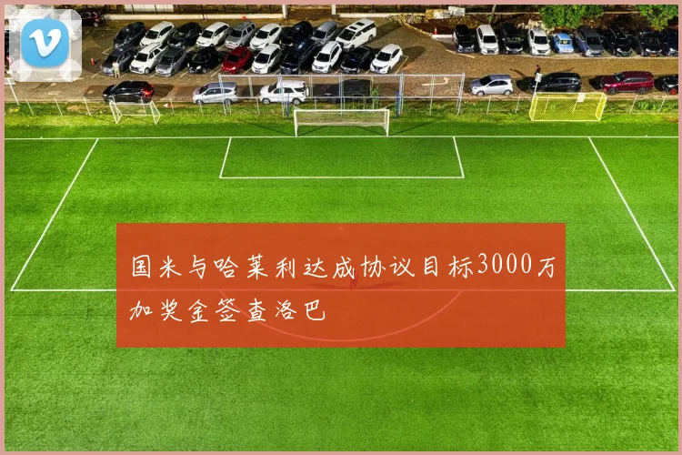 国米与哈莱利达成协议目标3000万加奖金签查洛巴