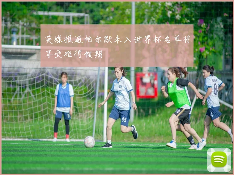 英媒报道帕尔默未入世界杯名单将享受难得假期