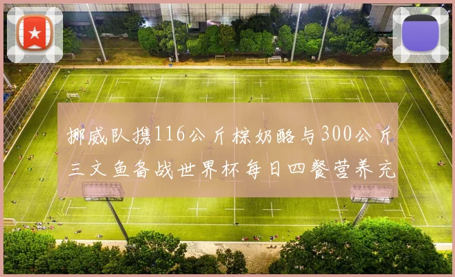 挪威队携116公斤棕奶酪与300公斤三文鱼备战世界杯每日四餐营养充足